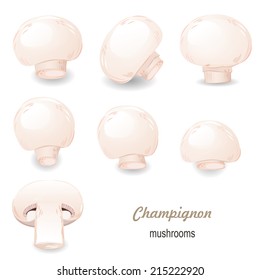 mushroom champignon