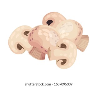 Mushroom Champignon, Fresh Organic Product, Culinary Ingredient Vector Illustration