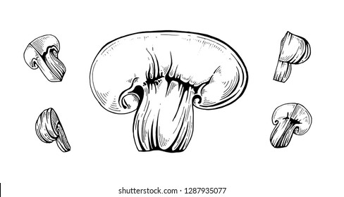 Mushroom. Champignon. Graphics.