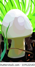 Mushroom champignon in the grass