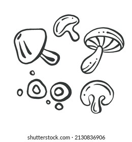Mushroom champignon icon in a flat design on a white background - Out line
