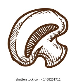 Mushroom or champignon isolated sketch, food and agriculture vector. Growing and cultivation, harvest and seasonal organic product. Cooking ingredient and culinary, natural nutrition element