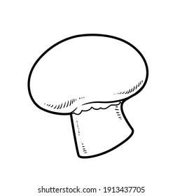 Mushroom champignon linear drawing on white background