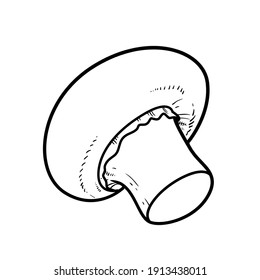 Mushroom champignon on the side linear drawing on white background