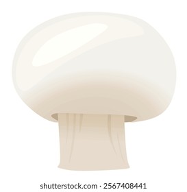 Mushroom champignon on white background. vector 