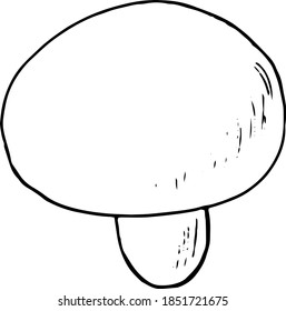 mushroom champignon sketch hand drawn doodle. icon, card, poster, vector, monochrome. nature, food, ingredient.