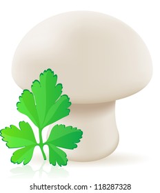 mushroom champignon vector illustration isolated on white background