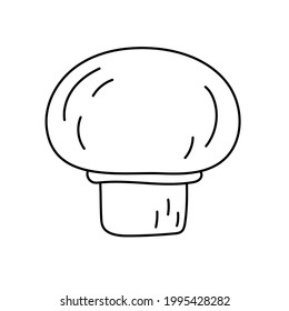 Mushroom champignon. Vegetable sketch. Thin simple outline icon. Black contour line vector. Doodle hand drawn illustration