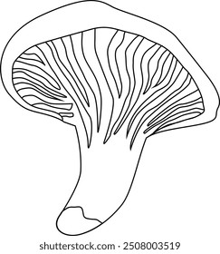 Mushroom chanterelle doodle design banner.