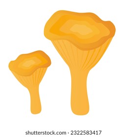 Mushroom chanterelle. Element for design isolated on white background.