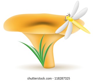 mushroom chanterelle vector illustration isolated on white background