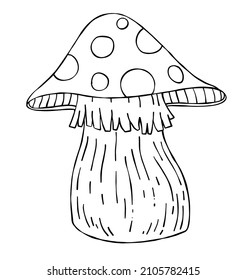 Mushroom, children drawing. Picture for coloring book. Forest nature and food. Outline black and white cartoon