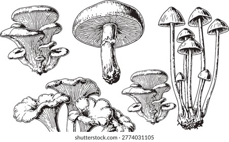 Mushroom clusters coloring-page sheet vector