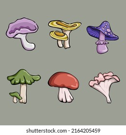 Mushroom collection, Cartoon set, Growing in the forest, Organic  mushrooms, doodle, cartoon