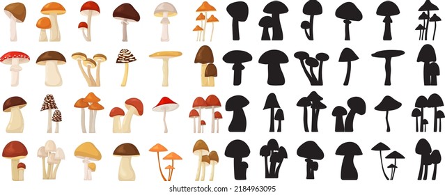 mushroom collection in flat style, isolated, vector