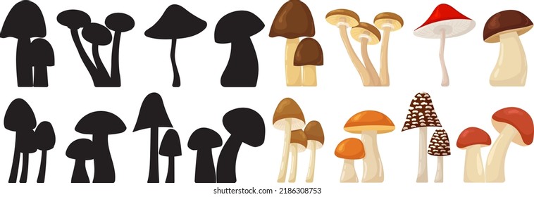 mushroom collection in flat style, isolated, vector