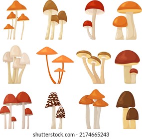 mushroom collection set in flat design isolated , vector