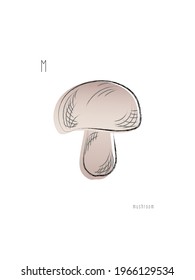 Mushroom in color. Vegetarian, vegan, healthy food. Hand drawn. Gradient. Vocabulary. Vector illustration. Isolated on white.