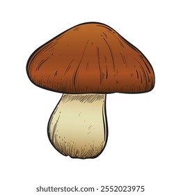 Mushroom in color vintage style. Hand drawn and isolated on monochrome background. Perfect for vintage or magical designs. Vector illustration.