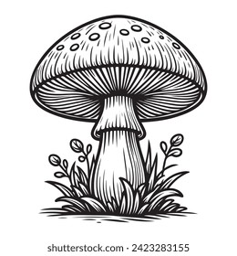 Mushroom coloring page black and white vector illustrations for kids