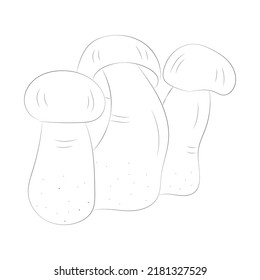 Mushroom coloring pages premium vector