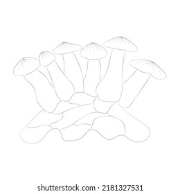 Mushroom coloring pages premium vector