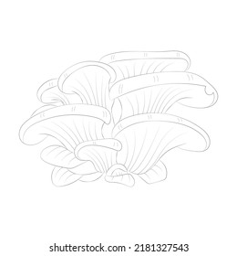 Mushroom coloring pages premium vector
