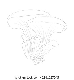 Mushroom coloring pages premium vector
