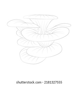 Mushroom coloring pages premium vector