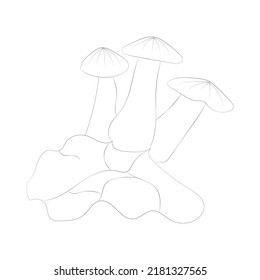 Mushroom coloring pages premium vector