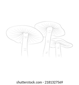 Mushroom coloring pages premium vector