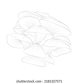 Malerseiten für Pilze, Premium-Vektorgrafik
