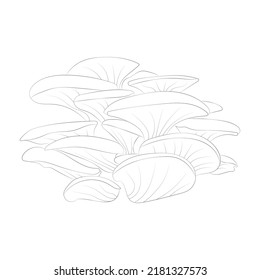 Mushroom coloring pages premium vector