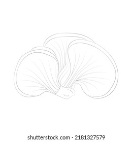 Mushroom coloring pages premium vector