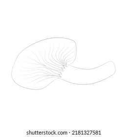 Mushroom coloring pages premium vector