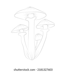 Mushroom coloring pages premium vector