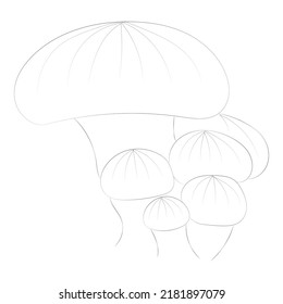 Malerseiten für Pilze, Premium-Vektorgrafik