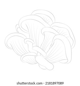 Mushroom coloring pages premium vector