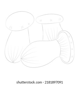 Mushroom coloring pages premium vector