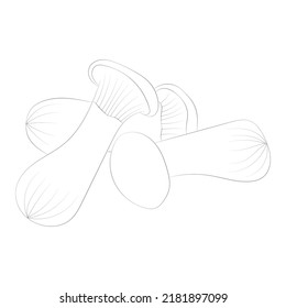 Mushroom coloring pages premium vector