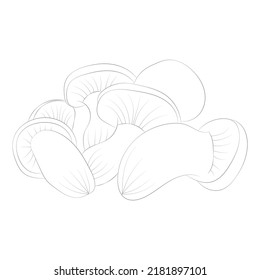 Mushroom coloring pages premium vector
