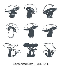 Mushroom concept. Collection of mushrooms.Fresh organic food. Design elements. Logo.