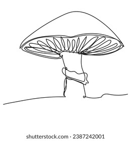 Mushroom continuous one line art drawing. Vector illustration isolated. Minimalist design handdrawn.