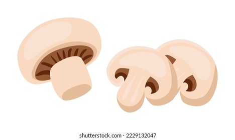 Mushroom cut into parts vector illustrations set. Big mushroom cut into slices on white background..Cooking, cutting, vegetable concept.