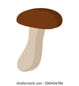 Mushroom with a dark brown cap on a white background for use in clipart