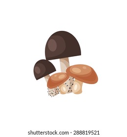Mushroom design, illustration, vector