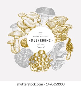 Mushroom design template. Hand drawn vector food illustration. Engraved style. Vintage mushrooms different kinds background.