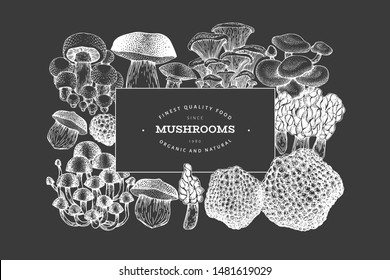 Mushroom design template. Hand drawn vector food illustration on chalk board. Engraved style. Retro mushrooms different kinds background.