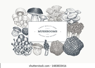 Mushroom design template. Hand drawn vector food illustration. Engraved style. Vintage mushrooms different kinds background.