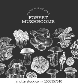 Mushroom design template. Hand drawn vector food illustration on chalk board. Engraved style. Retro mushrooms different kinds background.